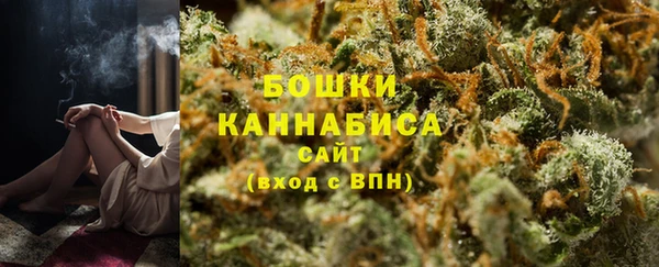 мдпв Надым