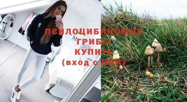 Альфа ПВП Наволоки