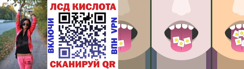 дарнет шоп  Сясьстрой  Марки 25I-NBOMe 1500мкг 