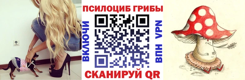 blacksprut ONION  Сясьстрой  Псилоцибиновые грибы мицелий 