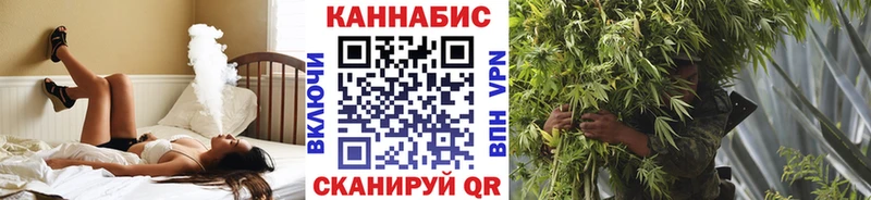 Шишки марихуана сатива  Сясьстрой 